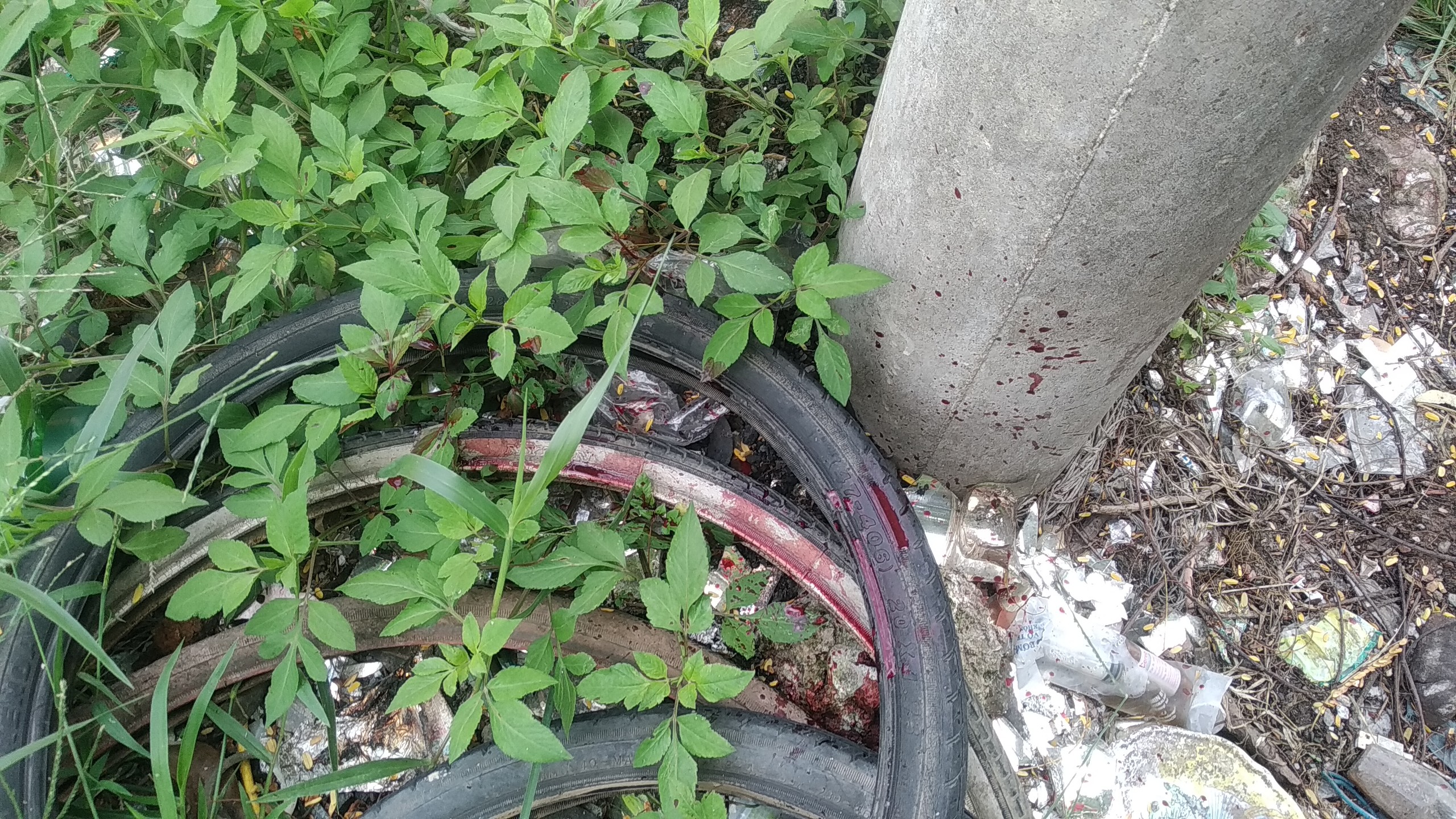 Đối tượng giết người tại xã Quảng Thanh, huyện Thủy Nguyên, Hải Phòng đã đầu thú